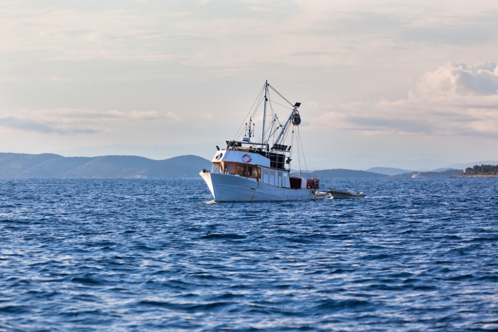iuu